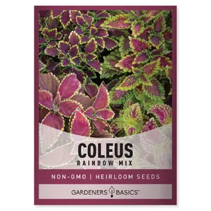 Rainbow Mix Coleus Seeds