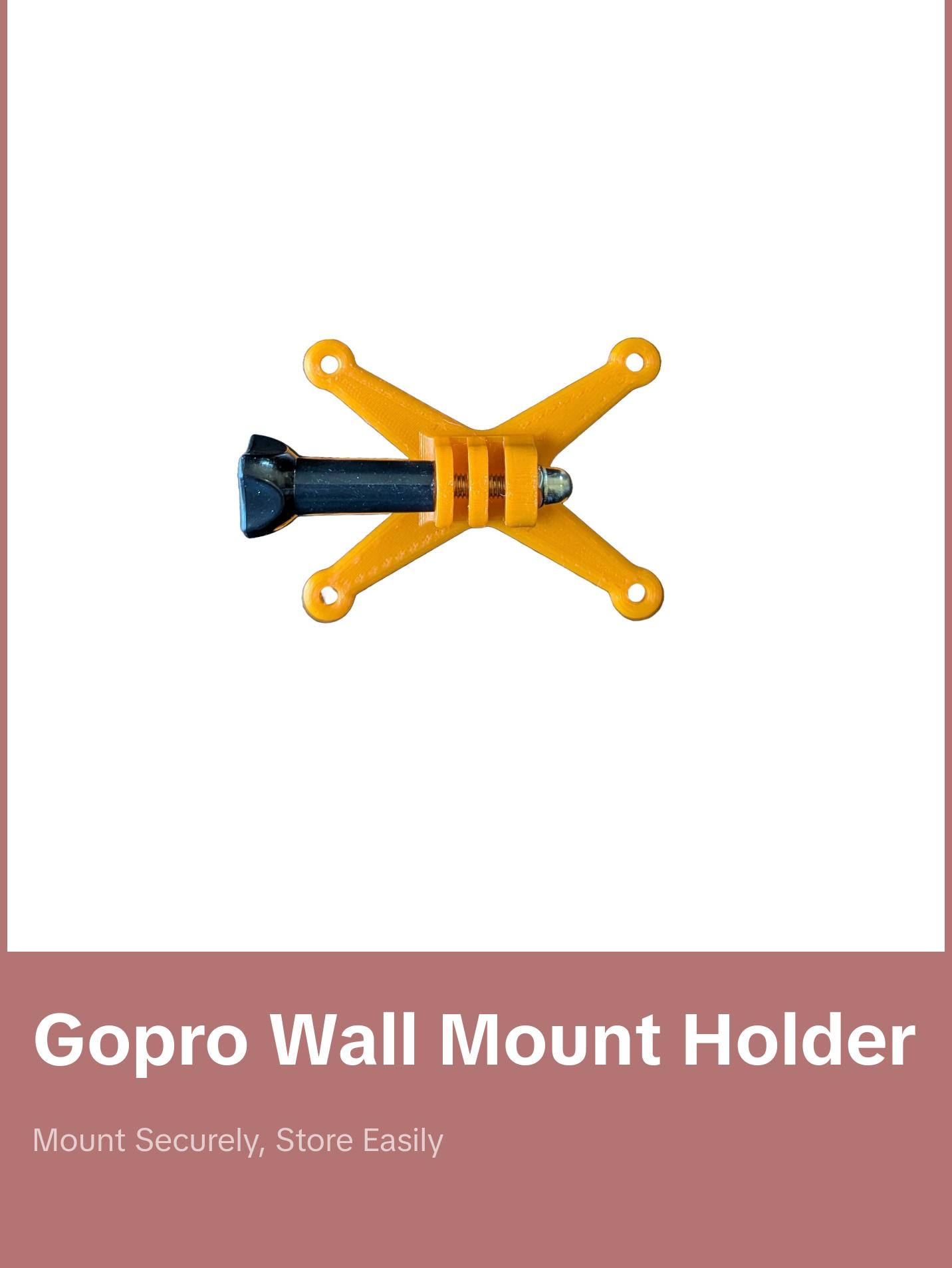 Action Camera Storage Wall Mount