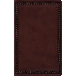USED-Large Print Value Thinline Bible-ESV-Border Design by Esv Bibles (Imitation Leather)