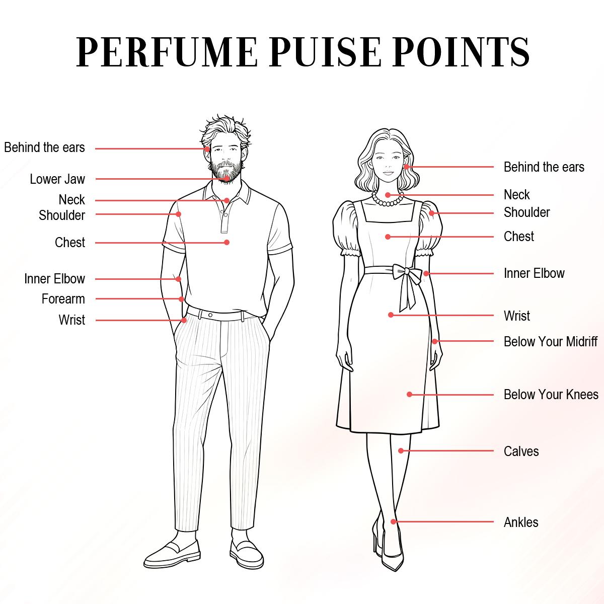 Voyage Breeze | Citrus Aromatic Fruity | Extrait De Parfum 50ml | 8H+ Long Lasting | summer fragrance