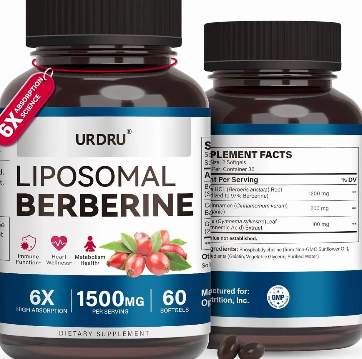 Berberine HCL Supplement 1500mg - with Ceylon Cinnamon & Gymnema, High Bioavailability Liposomal Berberine Capsules for Women and Men, AMPK Activator