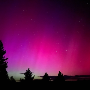 meiju best furniture