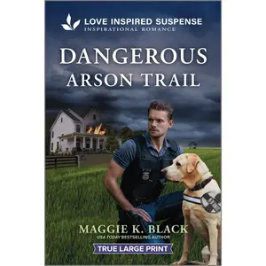 Dangerous Arson Trail (Unsolved Case Files: Volume Number 3) by Maggie K. Black [Paperback Book]