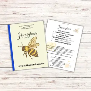 Honeybee mini unit study 4-8th grade for homeschool and summer learning