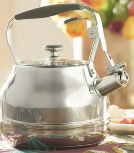 Stainless Steel Tea Kettle with Glass Lid and Whistle for Boiling Water and Brewing Tea