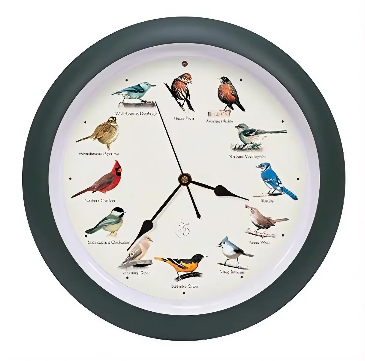 Singing Bird Wall Clock 13 Inch Green Frame with 12 Bird Sounds Smart Light Sensor Battery Operated Nature Decor