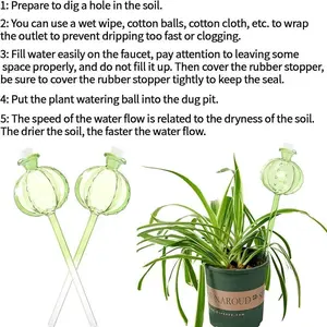 Three-pack plant watering balls, self-watering planting insert, cactus plant watering device, gift for plant lovers, Automatic Plants Watering