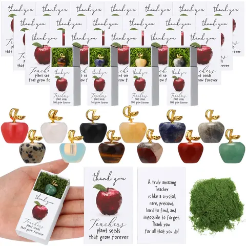 Christmas Teacher Appreciation Gifts 12/24 Set Crystal Apples with Moss Thank You Matchbook Office Decor Stones Emotional Support Paperweights Gifts from Student Mother for Teacher Coworker for Gift Exchange Party Favors Stocking Stuffers