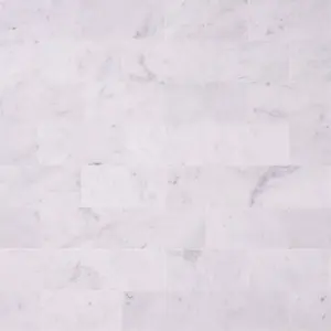 Carrara White Marble 3x6 Subway Tile Polished/Honed Sample