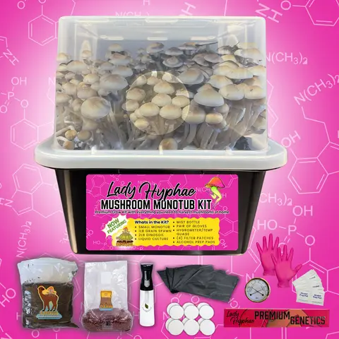 All Inclusive Reusable Mushroom Monotub Kit for Mycology Research - Durable Food-Grade Plastic, Clear Walls for Ambient Light, Ventilation System Ports, 3lb Grain, 5lb Substrate, Filters, Gloves, Mist Bottle, Alcohol Prep Pad, Simple Design
