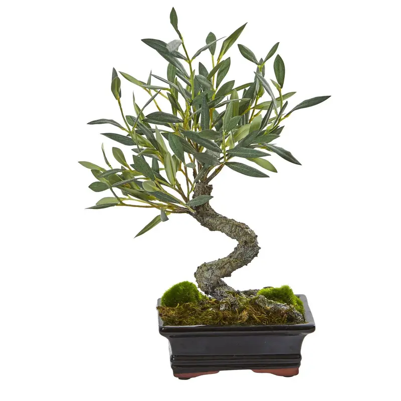 lavender bonsai - TikTok Shop