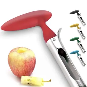 2 Premium Apple Corer Tool Easy to Use Clean Sturdy Apple Core Remover Stainless Utensils Kitchen Fruit Steel Handles Set