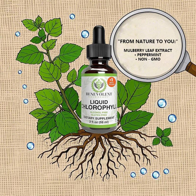 Liquid Chlorophyll Drops - Natural Detox, Body Deodorant, and Gut Health Support for Liver Wellness (4-12 Month Supply)