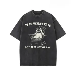 Vintage Washed Cotton T-Shirt With Playful Raccoon Print For  Summer Street Style Fashion Thick Pure Cotton Round Neck Short Sleeve Retro Design Casual Streetwear Top Crewneck