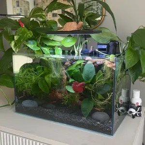 Hygger Fish Tank Cleaner 3 in 1 Siphon Coral Feeder Kit for small Tank ，Hand Siphon Hose to Remove and Change Water or Sand in Minutes - Fish Aquarium Accessories, Supplies & Cleaning Tools