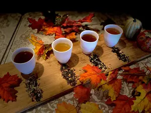 Umami Infusions Sampler Tea Box - Loose leaf tea box