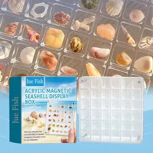 Acrylic Magnetic Shell Display Box Display, Storage, Decorative Shells, Multifunctional Transparent Box