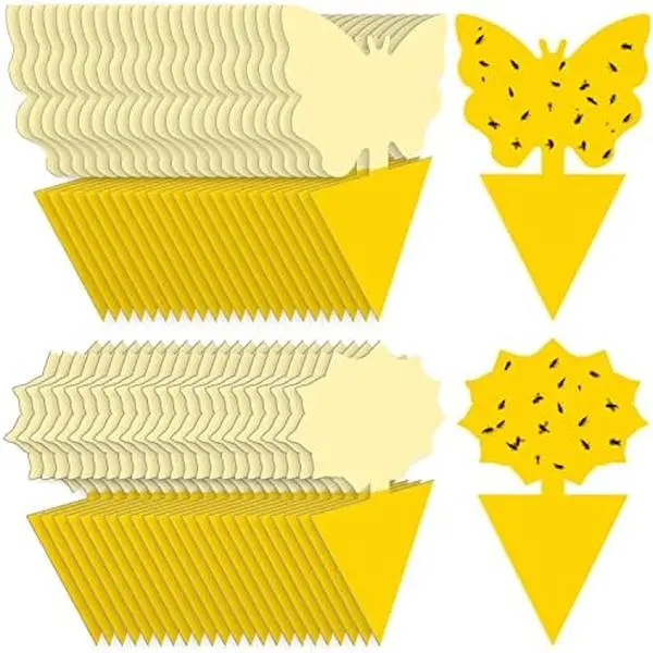 Fruit Fly Traps 48PCS Fungus Gnat-Traps for Indoor-Outdoor Yellow Fruit-Fly Sticky-Trap Plants Flying Bug Insects Traps