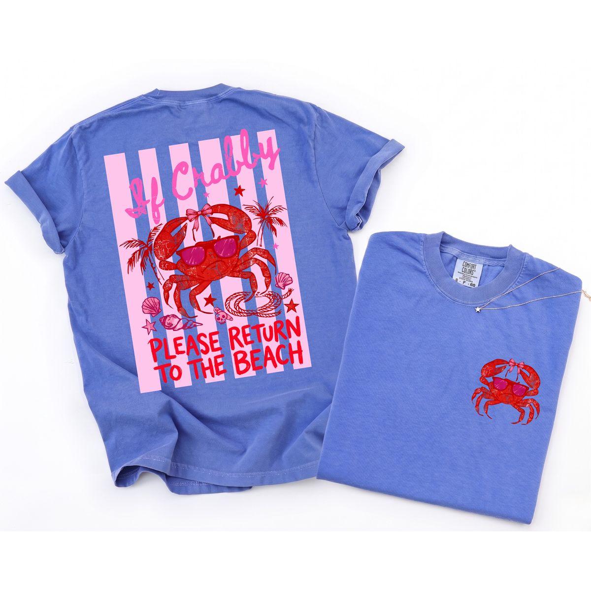 Comfort Colors If Crabby Return To Beach T-Shirt, Funny Beach Vacation Tee, Coastal Summer Graphic Shirt, Seaside Travel Outfit, Cute Ocean Lover Gift – Squirrel Corner