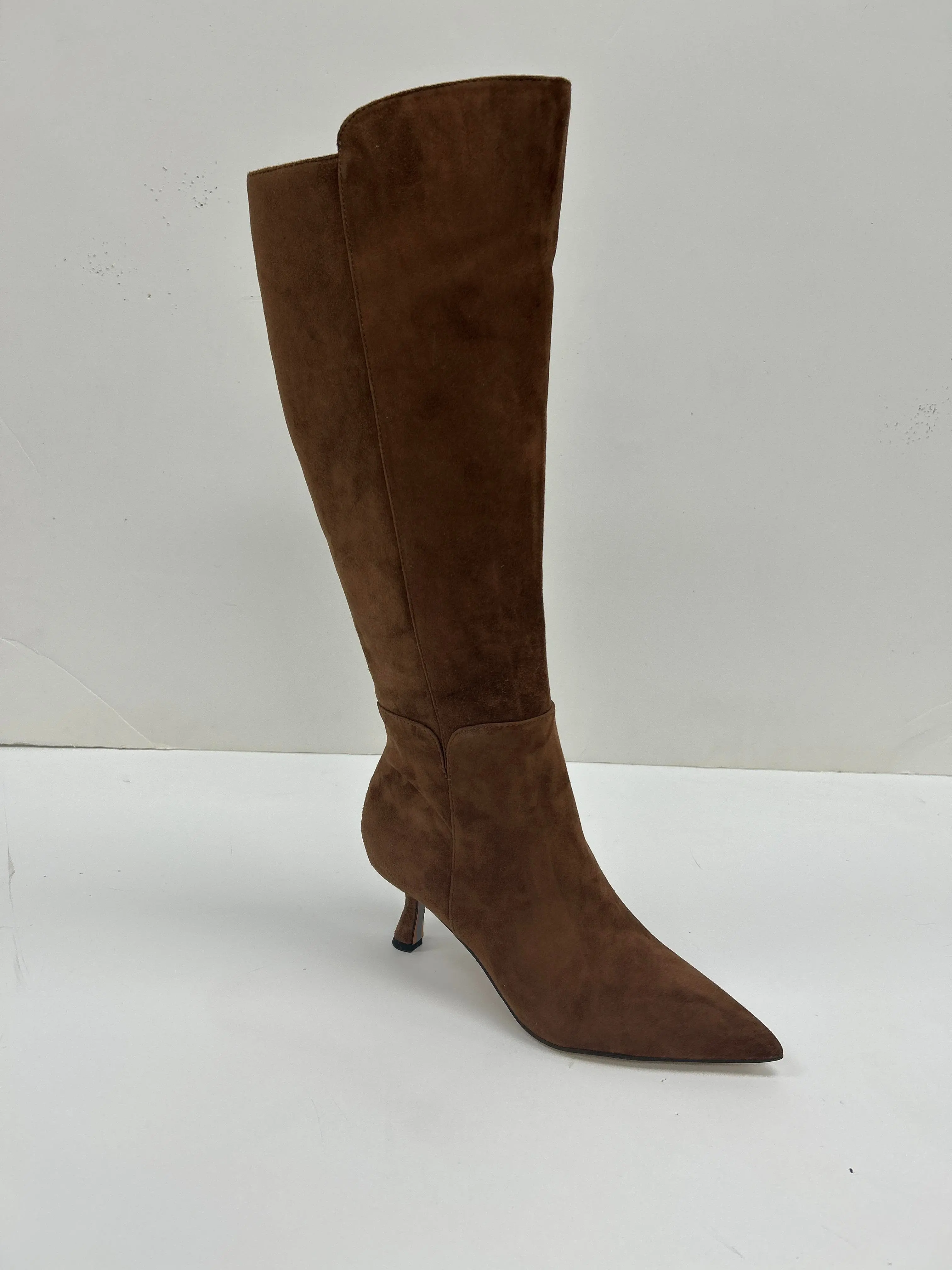Women's Sam Edelman Taylin Pointed Toe Suede Knee High Boot