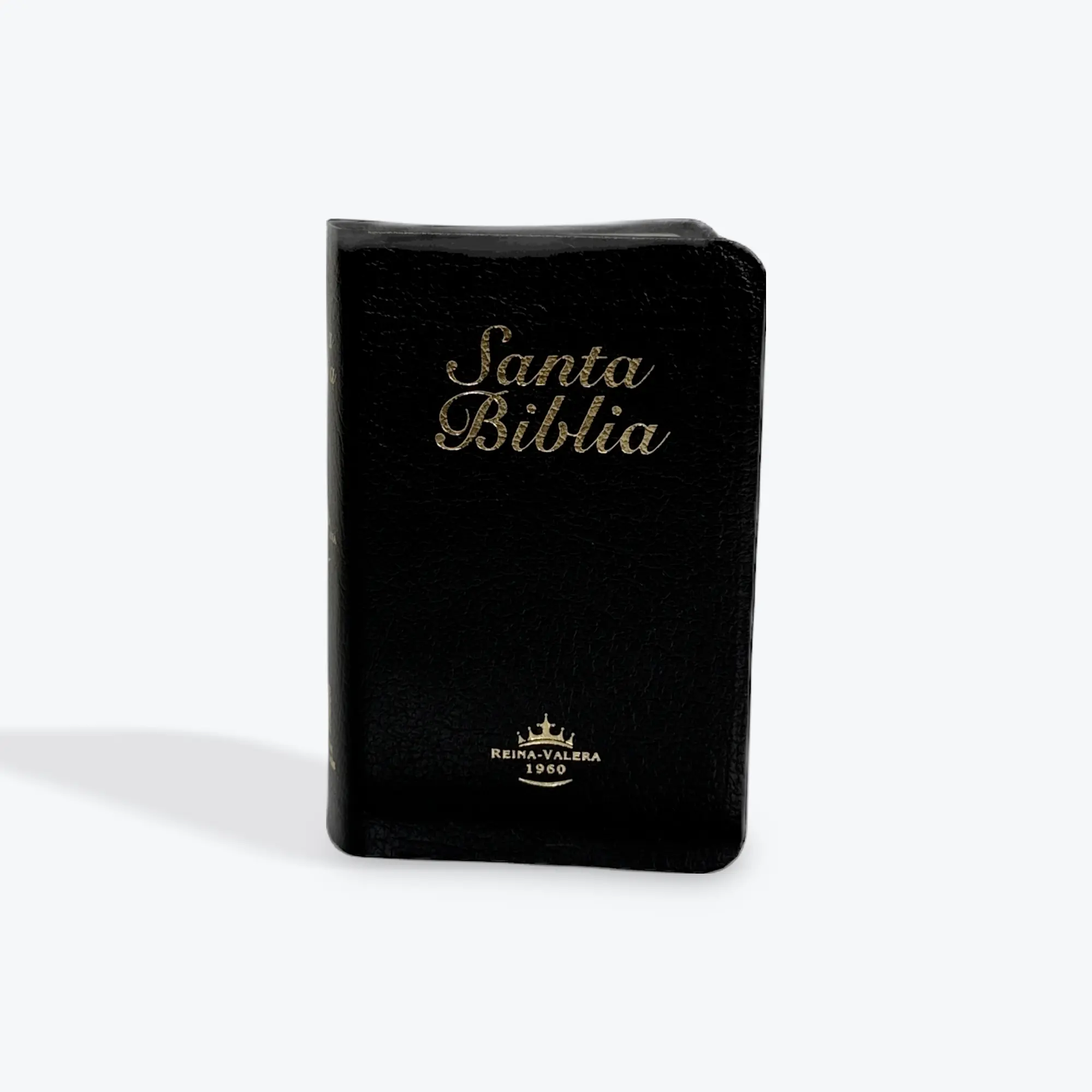 RVR 1960 Biblia Completa Mini Bolsillo Negra SentiPiel, Completa Reina Valera 1960, No es Letra Grande, Para Bolsa, Biblia Chiquita
