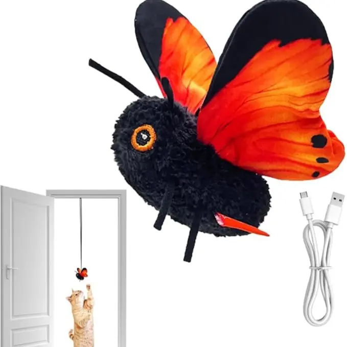 orange color（Flapping-Wing-NonFly）