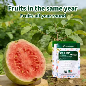 Red Guava Seeds for Home Gardening – Easy to Grow, Beginner Friendly, Sweet Tropical Fruit for Patio, Backyard, and DIY Fruit Garden