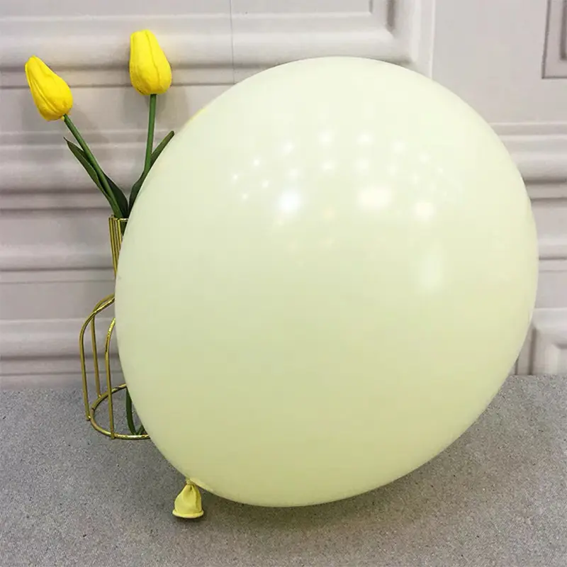 2.2 Macca Yellow (100 pcs/pack)