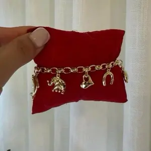 Lucky Charm Link Bracelet