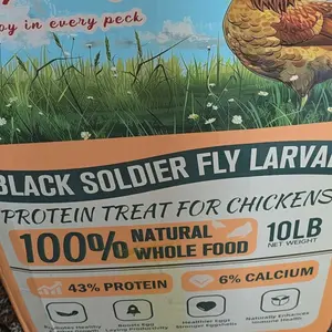 Joyprotyn Non-GMO Powdered Dried Black Soldier Fly Larvae Insect Feed - 85x High Calc, Enhances Egg Boost & Strength, Stronger Bones, Healthy Growth, High Protein for Poultry & Pets, Natural