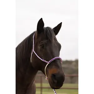 Purple and White Lariat Noseband Mule Tape Halter