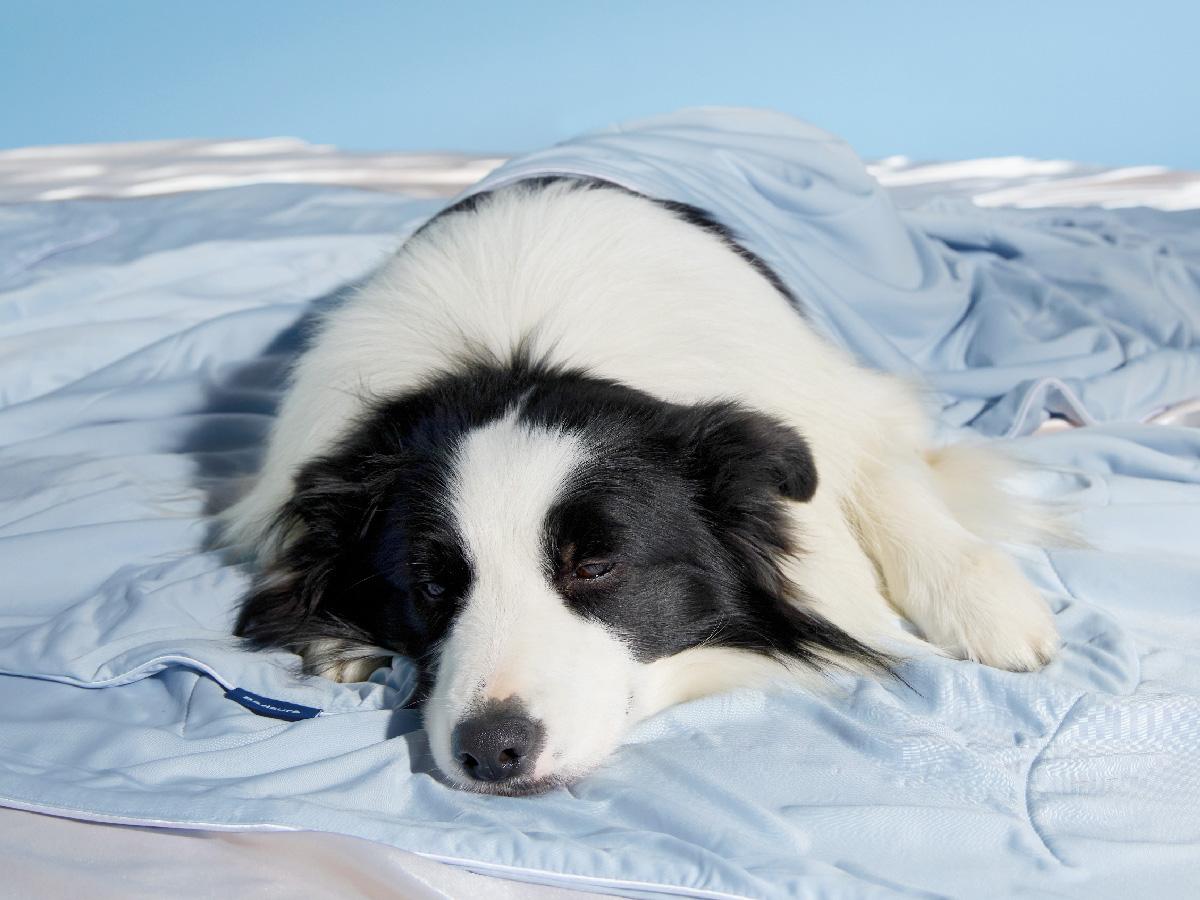 Bedsure Premium Cooling Lightweight Blanket for Pet - Q-MAX>0.4 Breathable Summer Washable Cold Pet Throw Blanket, Soft Durable Self Cooling Cat Dog Mat for Hot Weather
