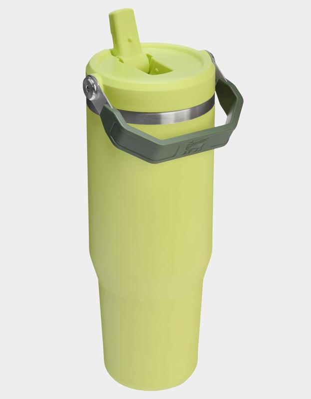 STANLEY 30 oz Limited Edition The IceFlow™ Flip Straw Tumbler, Prickly Pear