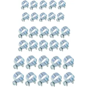 30pcs -1/4" 5/16" 3/8" Fuel Injection Gas Line Hose Clamps Clip - Pipe Clamp Assortment Kit - Perfect for Automotive, Agriculture, Plant & Construction - Mini Hose Clamp - BEAU-5043