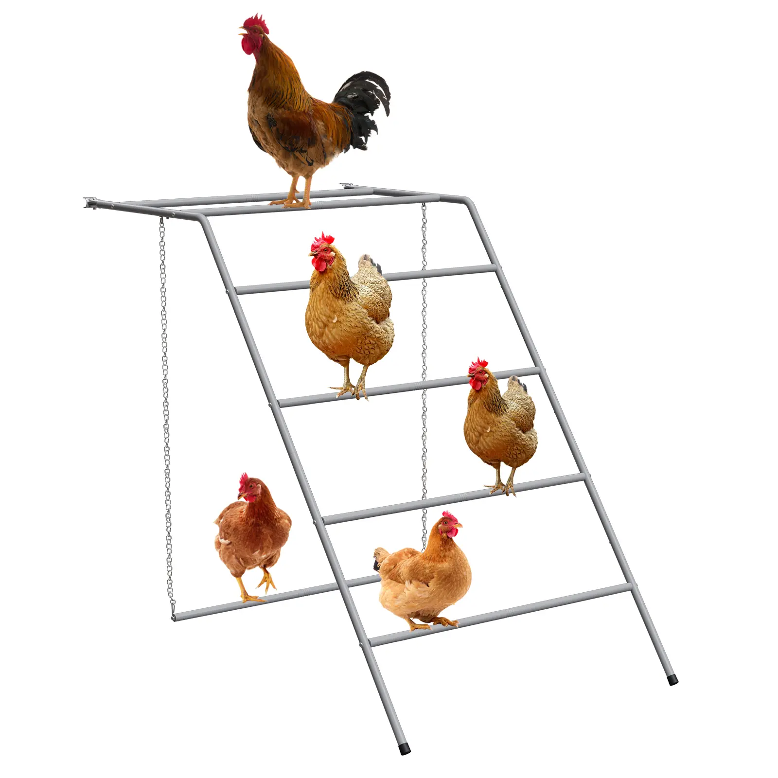 Metal Chicken Perch with Swing, 4-Step Roosting Bar, Easy-Install Heavy-Duty Poultry Ladder for Climbing & Play, Suitable for 8-10 Hens