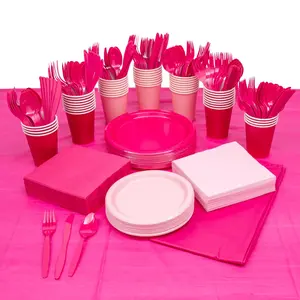 396 Pc. Hot Pink & Light Pink Tableware Kit for 48 Guests