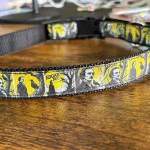 Poe Inspired Collar