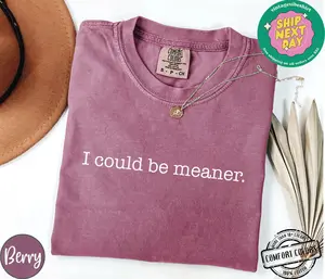 I Could Be Meaner Shirt Comfort Colors, Sarcastic Sweatshirt, Funny Quote Crewneck, Funny Humor Shirt, Trendy Shirt For Woman, Sarcasm Tees