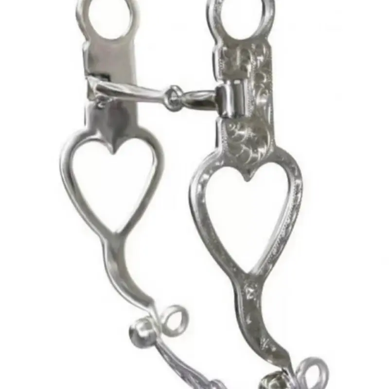 Stainless Steel Fully Engraved Heart Cutout 5” Western Horse Bit
