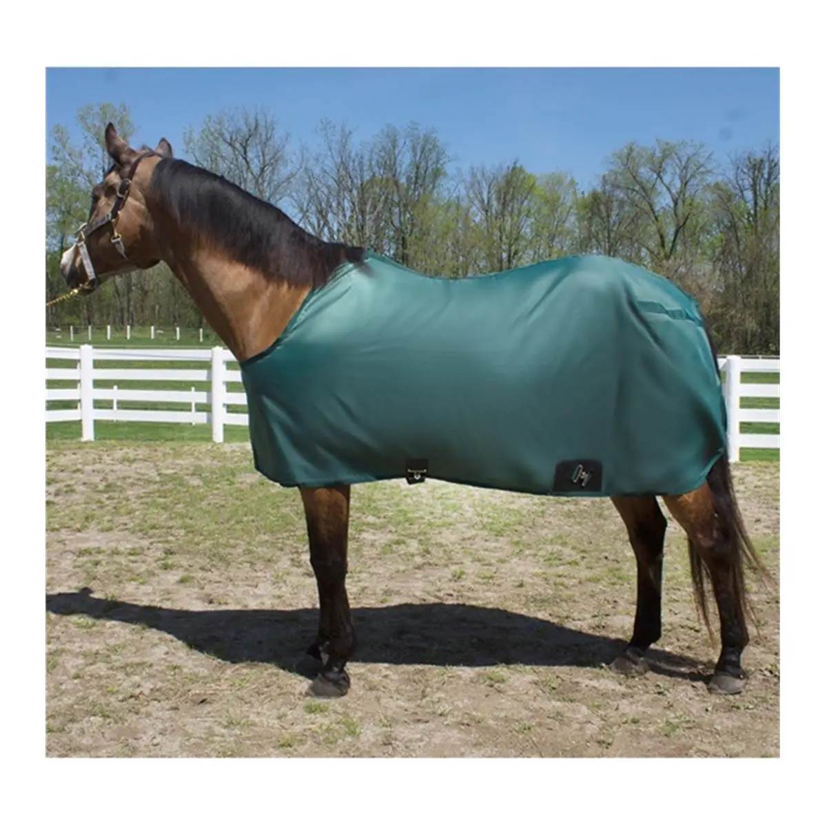 Jacks 1633-BK-80 80 in. Closed Front Nylon Stable Sheet for Horse, Black