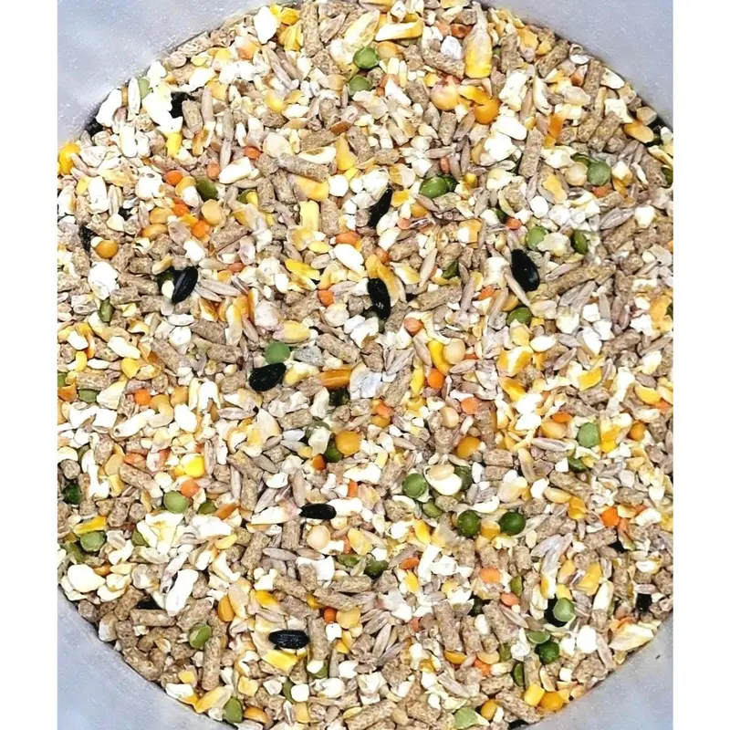 Omega 3 6 Chicken Rooster Game Bird Feed 3 LB Scratch Grain Pellet with Oyster Shell Calcium Supplement for Poultry