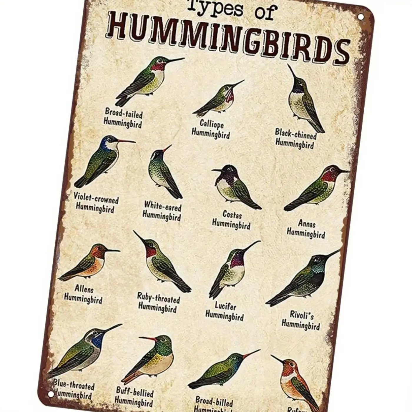 Vintage Hummingbird Aluminum Signs Vintage Metal Sign Great Gifts for Hummingbird Enthusiasts Perfect for Home Decoration