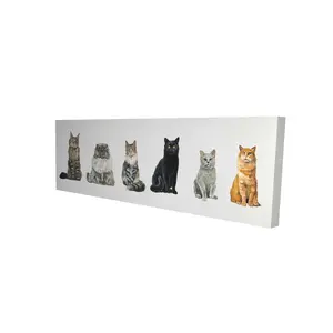 Begin Home Decor 2080-2060-AN501 20 x 60 in. Six Cats Lined Up - Canvas Art for Pet Lovers Home Decor, Wall Hanging, Cute Animal Art
