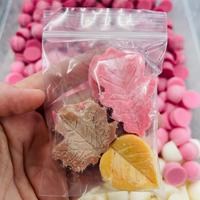 FALL IN LOVE (LEAVES)