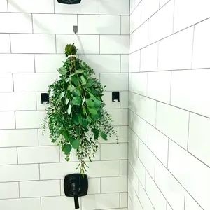 Spa-Like Shower Atmosphere - Eucalyptus Shower Bundle: Baby Blue, Silver Dollar and Parvifolia Types - Large Size