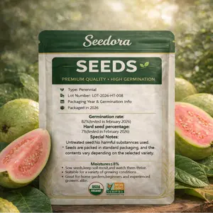 Low-Maintenance Fruit Guava Tree Seeds, Easy-to-Cultivate, Suitable for Potted Plants, Greenhouses and Outdoor Gardens
