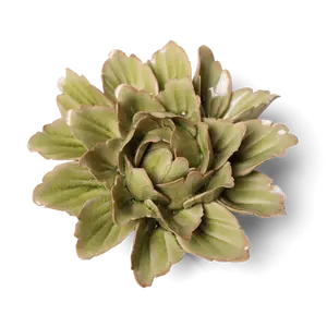 Ceramic Flower Japan Curated Collection #8