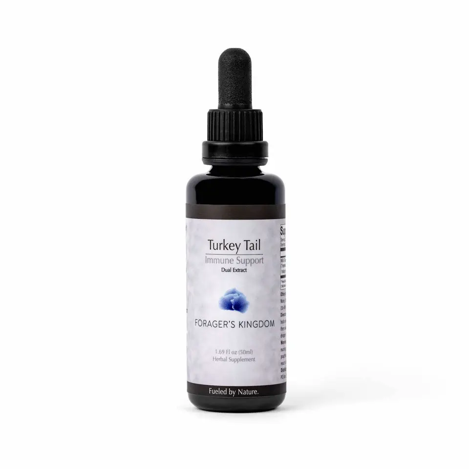 Turkey Tail Extract