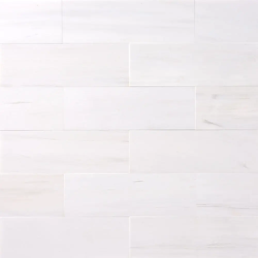 Bianco Dolomite Marble 2x8 Polished/Honed Subway Tile