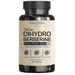 Dihydroberberine Supplement 500mg with Ceylon Cinnamon - (Patented GlucoVantage Super Berberine), Maybe Berberine 5X More absorbable - 30 Capsules Healthcare Dietary